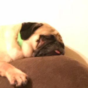 Meet your Posher, Zack